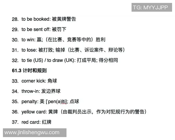 国际足球明星的英文名字与成就解析，探索他们的辉煌职业生涯与影响力