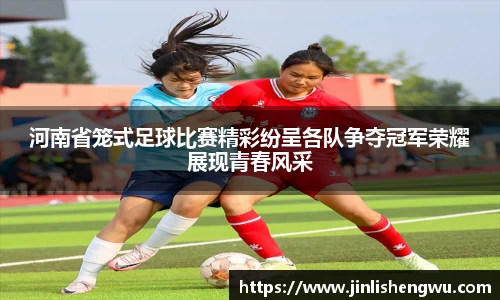 河南省笼式足球比赛精彩纷呈各队争夺冠军荣耀展现青春风采