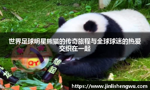k1体育十年品牌值得信赖